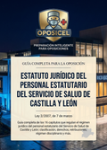 Guia Premium Esquemática sobre Ley 2 2007 7 marzo Estatuto Jurídico Castilla y León